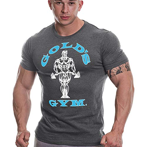 Golds Gym Joe Muscular Entrenamiento de Gimnasia de Oro Premium Hombre Entrenamiento de la Aptitud Gimnasio de Deportes de la Camiseta, Grey Marl/Turquesa, S