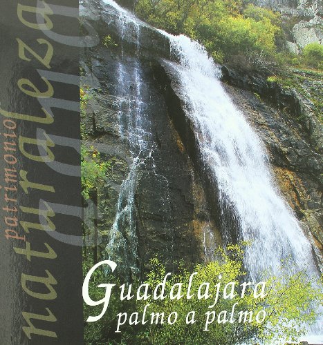 Guadalajara palmo a palmo : un libro de imágenes