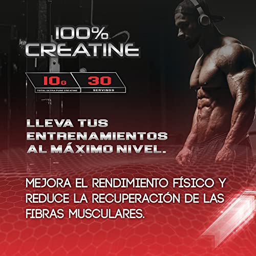 Healthy Fusion 100% Creatina Monohidrato | Alta dosis - 10gr de Creatina por toma | Promueve el crecimiento muscular y mejora la resistencia física | Alta solubilidad | 300g Sabor chocolate