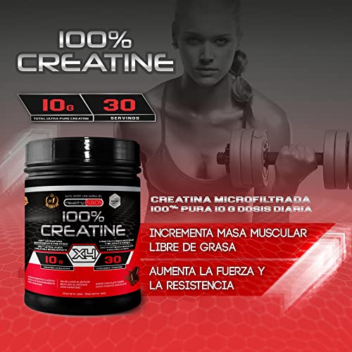 Healthy Fusion 100% Creatina Monohidrato | Alta dosis - 10gr de Creatina por toma | Promueve el crecimiento muscular y mejora la resistencia física | Alta solubilidad | 300g Sabor chocolate