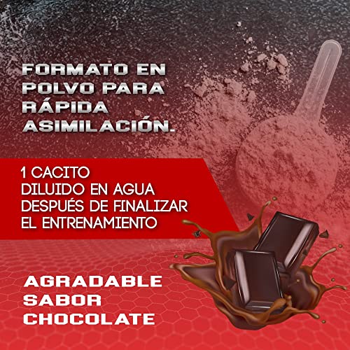 Healthy Fusion 100% Creatina Monohidrato | Alta dosis - 10gr de Creatina por toma | Promueve el crecimiento muscular y mejora la resistencia física | Alta solubilidad | 300g Sabor chocolate