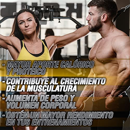 Healthy Fusion Extreme Gainer | Con Proteína Whey, Magnesio, Harina de Avena y Maca | Alto contenido en Hidratos de Carbono | Sabor chocolate | 1,5kg