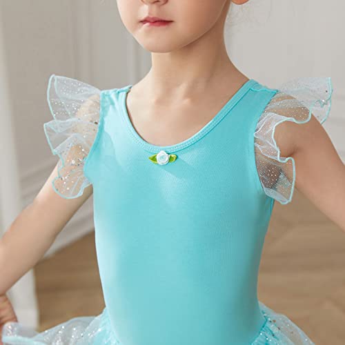 HIPPOSEUS Niña Maillot de Danza Lentejuelas Tutú Vestido de Ballet Gimnasia Leotardo Body Clásico para Niñas,Y05-Verde,10-11 Años