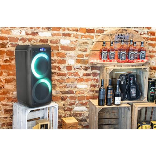 Ibiza - FREESOUND400 - Altavoz portátil a Pilas con Bluetooth, USB, SD y AUX-IN con Leds ambientales - 400W - Negro