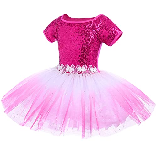 IBTOM CASTLE Vestido de Ballet para Niñas Top de Manga Corta con Lentejuelas Disfraz Bailarina Maillot de Danza Leotardo Fiesta Actuación para Niña Tutu Faldas Rosa Roja 7-8 Años