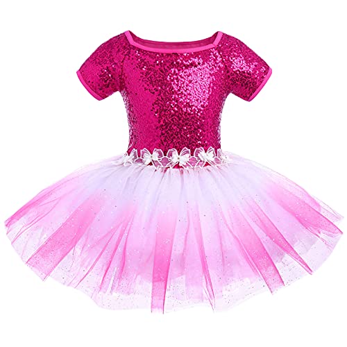 IBTOM CASTLE Vestido de Ballet para Niñas Top de Manga Corta con Lentejuelas Disfraz Bailarina Maillot de Danza Leotardo Fiesta Actuación para Niña Tutu Faldas Rosa Roja 7-8 Años