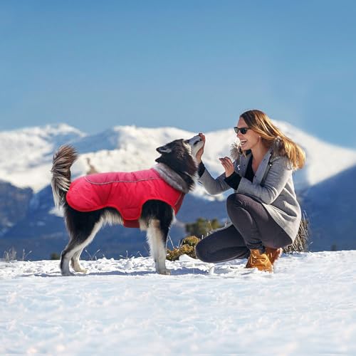 Idepet Chaqueta de Abrigo de Perro, Abrigo de Mascotas a Prueba de Agua, Traje de ensayo, Ropa de Perro a Prueba de Viento reflexiva para pequeños Perros Grandes Grandes Rojo Negro