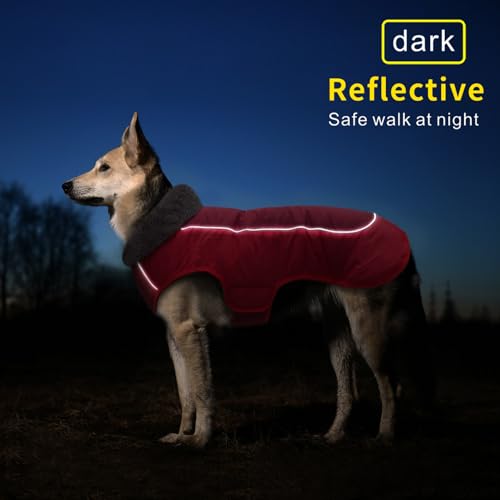 Idepet Chaqueta de Abrigo de Perro, Abrigo de Mascotas a Prueba de Agua, Traje de ensayo, Ropa de Perro a Prueba de Viento reflexiva para pequeños Perros Grandes Grandes Rojo Negro