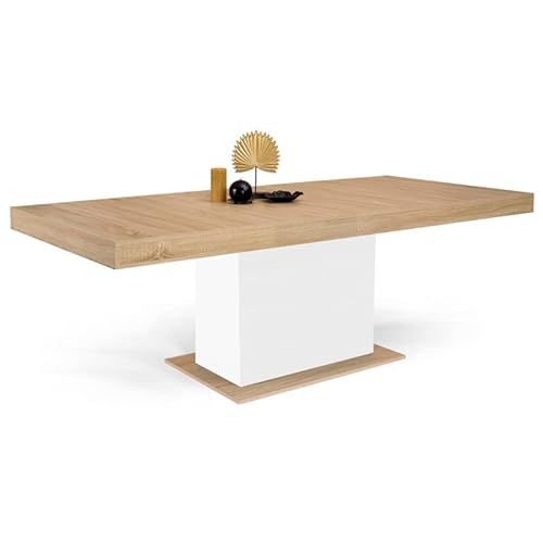 IDMarket - Mesa de comedor extensible Eden 6-10 Personas Madera y Blanco 160-200 cm