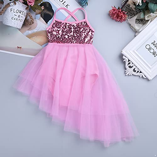 IEFIEL Vestido Lentejuelas de Danza Ballet para Niña Maillot con Falda Tul de Patinaje Artístico Gimnasia Vestido de Baile Lírica y Contemporánea Disfraz Bailarina 2-16 Años E Rosa 4-5 años