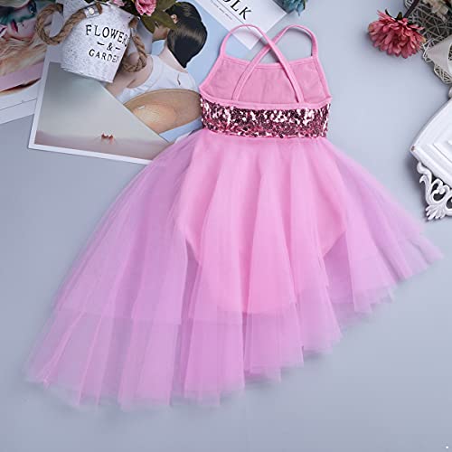 IEFIEL Vestido Lentejuelas de Danza Ballet para Niña Maillot con Falda Tul de Patinaje Artístico Gimnasia Vestido de Baile Lírica y Contemporánea Disfraz Bailarina 2-16 Años E Rosa 4-5 años