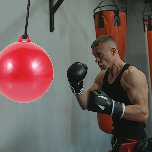 Ipetboom Bolsa De Entrenamiento Básico Boxeo De Velocidad Bolsa De Kickboxing Bolsa De Velocidad De Boxeo Saco De Boxeo para Adultos Rotar Suelta La Pelota Perforación Cloruro De Polivinilo