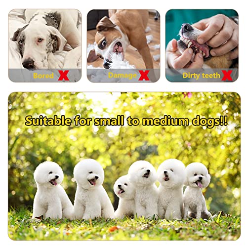 Jodsen 8 Paquetes de Juguetes para Cachorros, Juguetes chirriantes para Perros, Juguetes interactivos,para la dentición de Perros pequeños, Accesorios para Cachorros pequeños y medianos (8 Pack)