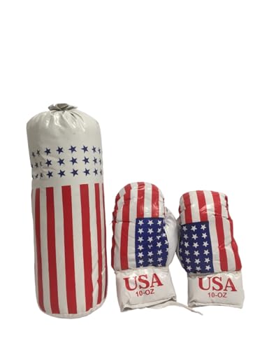 Juego de saco de boxeo con guantes para niños, entrenamiento para niños, saco y guantes, guantes de boxeo para niños, combate Sparring Kickboxing, sacos de boxeo y boxeo, guantes de boxeo