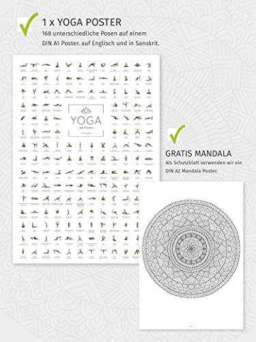 JUNOMI® Póster de yoga DIN A1 con 168 poses y asanas, accesorio para estudios ejercicios en casa, idea regalo perfecta yoga, principiantes profesionales, sin marco