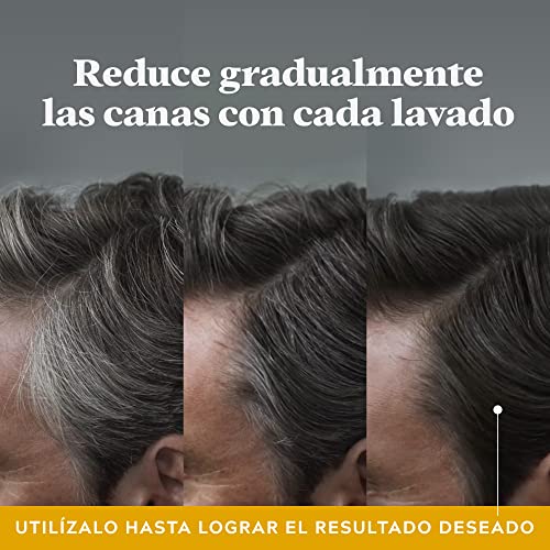 Just For Men Control GX Champú Y Acondicionador para Canas Hombre, Reduce Gradual Y Permanentemente El Cabello Gris en Cada Lavado, Para Todos Los Tonos, 118ml