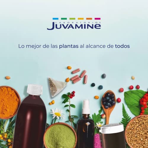 JUVAMINE - Té Quema Grasas - Sabor Frutos Rojos - 20 Bolsitas