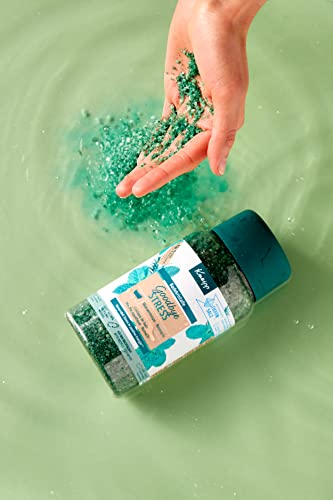 Kneipp Sales de baño Goodbye Stress – Sal natural puro de la salina Luisenhall con aceite esencial natural y extracto de menta de agua, transforma el estrés en energía positiva, 600 g