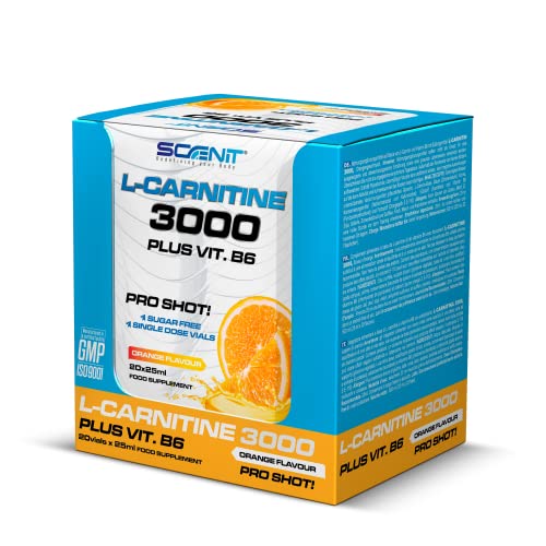 L Carnitina 3000 - L Carnitina Liquida - Carnitina Liquida 3000 - Carnitina Liquida - L-Carnitina 3000 - L Carnitina Viales - L Carnitina - l - carnitina - 20 unidades de 25 ml (Naranja)