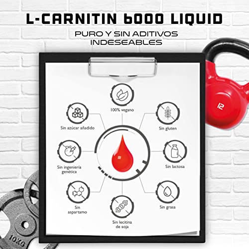 L-Carnitina 6000 Líquido - 1000 ml - Dosificación extra alta con 6000 mg de L-Carnitina pura por porción diaria - Bebida de entrenamiento de aminoácidos - Sabor delicioso (Cherry Madness)