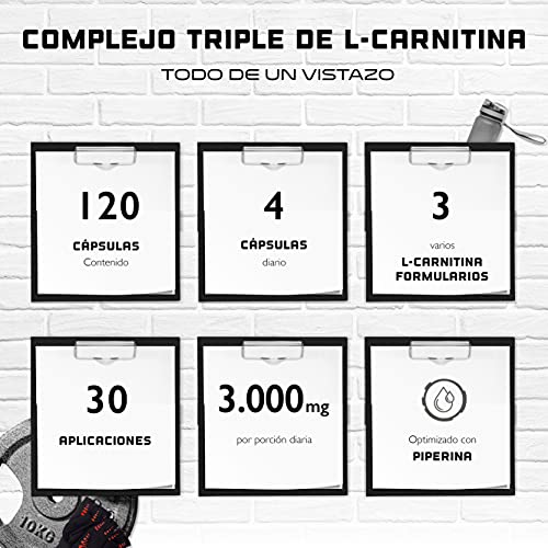 L-Carnitina Triple Complex - 3000 mg por ración diaria - Premium: Complejo de Acetil-l-carnitina, L-Carnitina Tartrato y Carnitina Fumarato - 120 Cápsulas - Alta dosis - Vegano