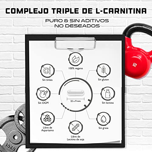 L-Carnitina Triple Complex - 3000 mg por ración diaria - Premium: Complejo de Acetil-l-carnitina, L-Carnitina Tartrato y Carnitina Fumarato - 120 Cápsulas - Alta dosis - Vegano