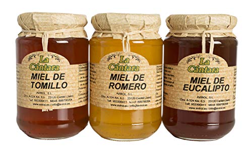 La Cántara - Miel Pura de Abeja - Pack 3x500 gr - Tomillo, Romero y Eucalipto – 100% Natural - Origen España