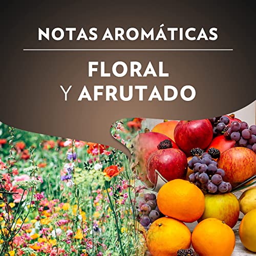 Lavazza, Espresso Italiano Classico, Café en Grano Natural, Ideal para la Máquina de Café Espresso, con Notas Aromáticas Florales, 100 % Arábica, Intensidad 5, Tueste Medio, Paquete de 1 kg