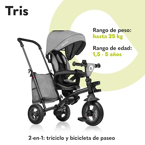 LIONELO Tris Bicicleta 2 en 1 Niño hasta 25 kg 12-60M Triciclo y Carrito- Bicicleta Cinturones de 3 Puntos con Fundas Regulación Gradual del Respaldo de 3 Niveles Gris Oscuro … (Gris)