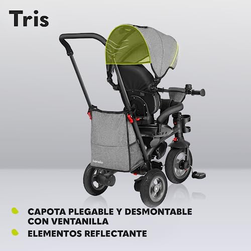 LIONELO Tris Bicicleta 2 en 1 Niño hasta 25 kg 12-60M Triciclo y Carrito- Bicicleta Cinturones de 3 Puntos con Fundas Regulación Gradual del Respaldo de 3 Niveles Gris Oscuro … (Gris)