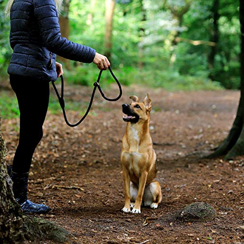 lionto Correa Retriever Correa de Perro Correa de Entrenamiento, Longitud 120 cm Negro