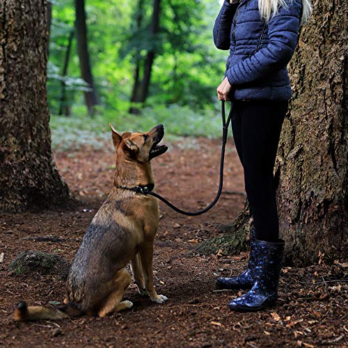 lionto Correa Retriever Correa de Perro Correa de Entrenamiento, Longitud 120 cm Negro