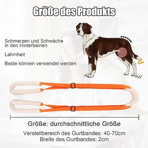 Lollanda Andador Trasero para Perros, Ayuda Trasera para Perros, Arnés para las Patas Traseras, Andador Perros para Apoyo a Perros Enfermos, Perros Mayores, Promueve la Movilidad del Perro (Naranja)