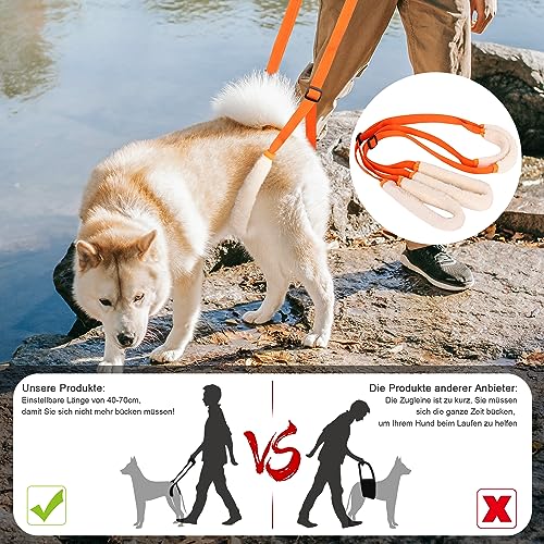 Lollanda Andador Trasero para Perros, Ayuda Trasera para Perros, Arnés para las Patas Traseras, Andador Perros para Apoyo a Perros Enfermos, Perros Mayores, Promueve la Movilidad del Perro (Naranja)