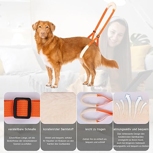 Lollanda Andador Trasero para Perros, Ayuda Trasera para Perros, Arnés para las Patas Traseras, Andador Perros para Apoyo a Perros Enfermos, Perros Mayores, Promueve la Movilidad del Perro (Naranja)