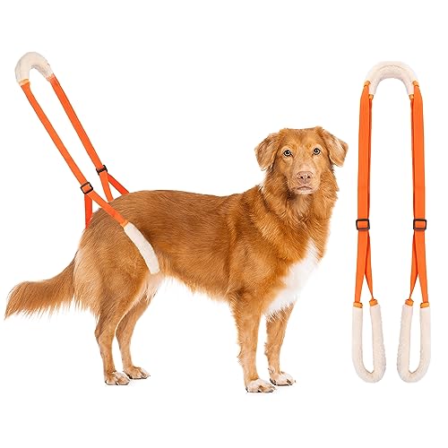 Lollanda Andador Trasero para Perros, Ayuda Trasera para Perros, Arnés para las Patas Traseras, Andador Perros para Apoyo a Perros Enfermos, Perros Mayores, Promueve la Movilidad del Perro (Naranja)