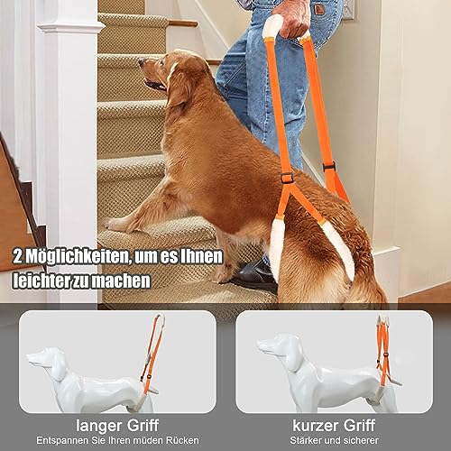 Lollanda Andador Trasero para Perros, Ayuda Trasera para Perros, Arnés para las Patas Traseras, Andador Perros para Apoyo a Perros Enfermos, Perros Mayores, Promueve la Movilidad del Perro (Naranja)