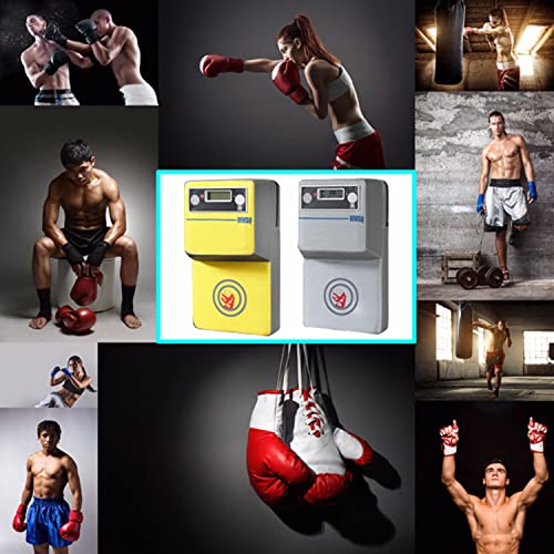 Máquina de Boxeo Montada en la Pared Smart Music Boxing Training Punching Target con Punch Force Tester, Saco de Boxeo Familiar Equipo de Almohadillas de Boxeo para niños Adultos jóvenes,Plata