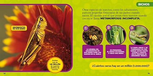 Mi primer gran libro de bichos (National Geographic Kids)