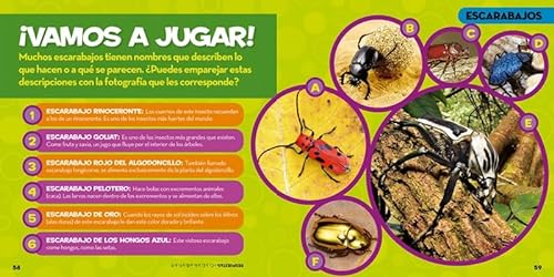 Mi primer gran libro de bichos (National Geographic Kids)