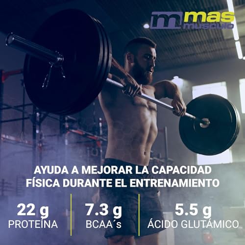 MM Supplements - Proteína Whey 80 - Bote de 1 Kg - Proteína Suero de Leche - Batido para Ganar Masa Muscular - Ayuda en la Recuperación Muscular - Sabor Choco Milk