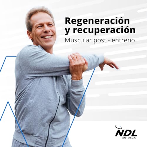 NDL Pro-Health Muscle Regeneration - BCAA (2:1:1) glutamina, antiinflamatorio y antioxidante, recuperación muscular post entreno, frutas del bosque, polvo, 20 dosis, 300g