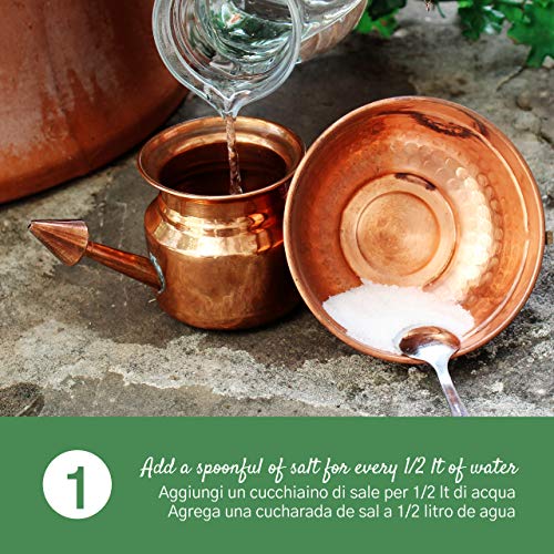 Neti Pot en Cobre para Limpiar y Desinfectar las fosas nasales - 200 ml - Práctica Ayurvédica - Jala Neti Hatha Yoga - para el drenaje de los senos frontales y para limpiar las vías respiratorias