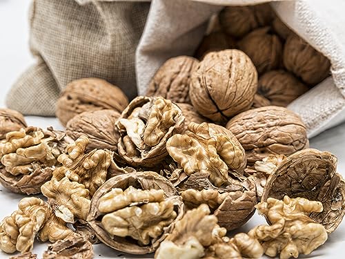 Nueces Naturales con Cáscara Fina Origen Español (1 kg) - Nueces de Sabor Dulce y Agradable - Nuez Tradicional - Frutos Secos para Controlar Apetito