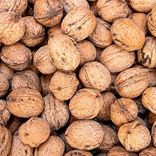 Nueces Naturales Cultivadas en España. Saco 2 Kg