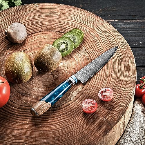 oFuun Cuchillo Cocina Damasco, 12,6cm Cuchillo Universales, 67 Capas Cuchillo Multiusos de Acero Damasco, Súper Acero VG10 con Mango Ergonómico de Resina Azul