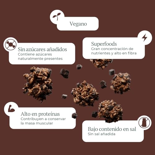 ONE DAY Granola Ecologica, Sin Azucares Añadidos, Alto en Proteína con Superfoods, Alto en Fibra, 300g (Chocolate, 1 unidad)