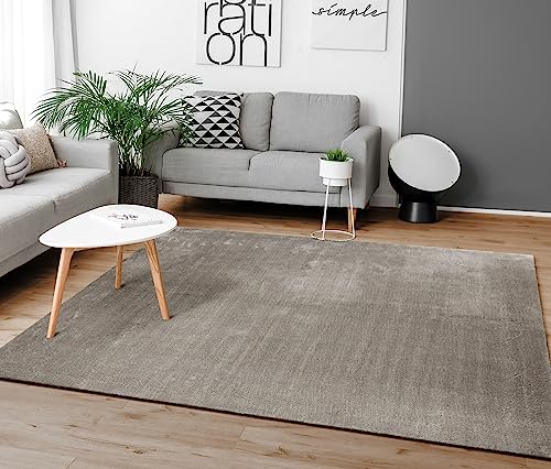 Paco Home Alfombra para la Sala de Estar Unicolor Lavable Suave Pila Corta, tamaño:160x220 cm, Color:Gris