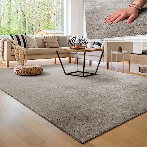 Paco Home Alfombra para la Sala de Estar Unicolor Lavable Suave Pila Corta, tamaño:160x220 cm, Color:Gris