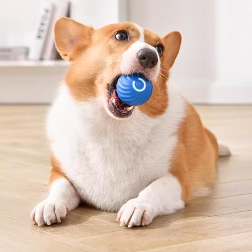 Pelota interactiva para perros – Bola inteligente de movimiento automático, bola giratoria para perro, bola de perro en movimiento, duradera y resistente al desgaste para mascotas, caza, persecución